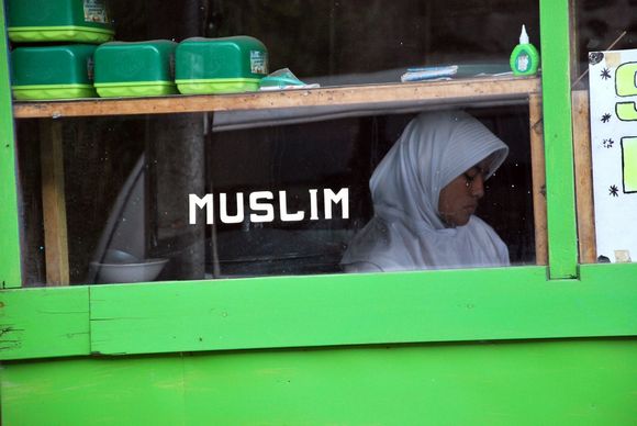 pedersen2.jpg pedersen2.jpg